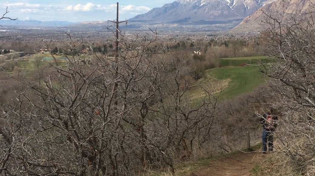 Mt. Ogden, Gibb's loop.