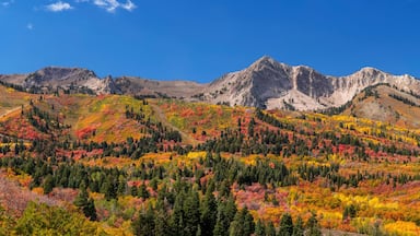 Panoramic view of Snow basin landscape with bright fall foliage around Mont Ogden in Utah