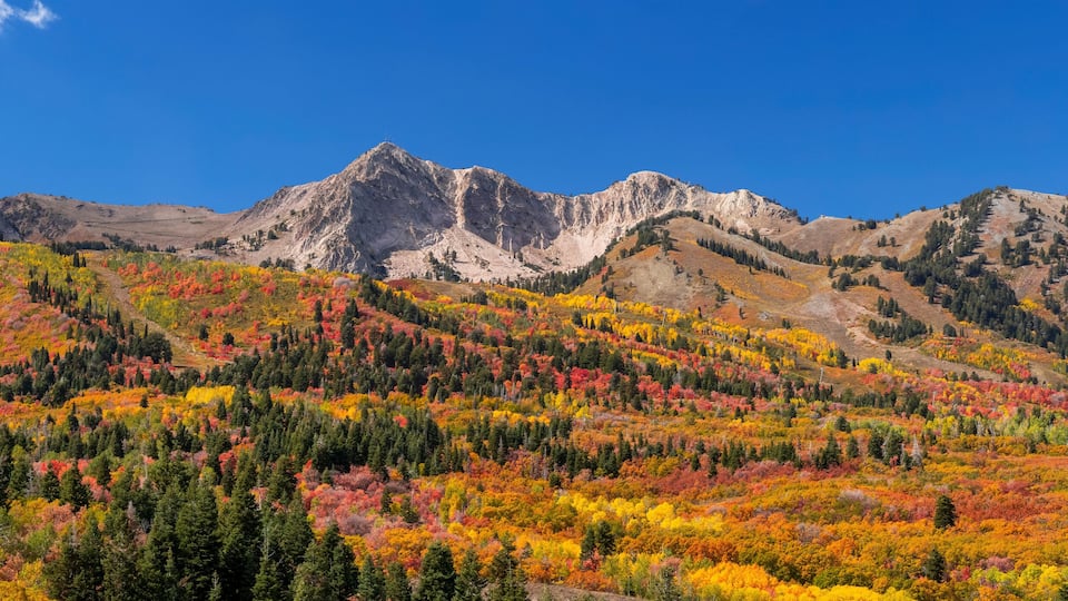 A mountain range with autumn foliage and clear blue skies.