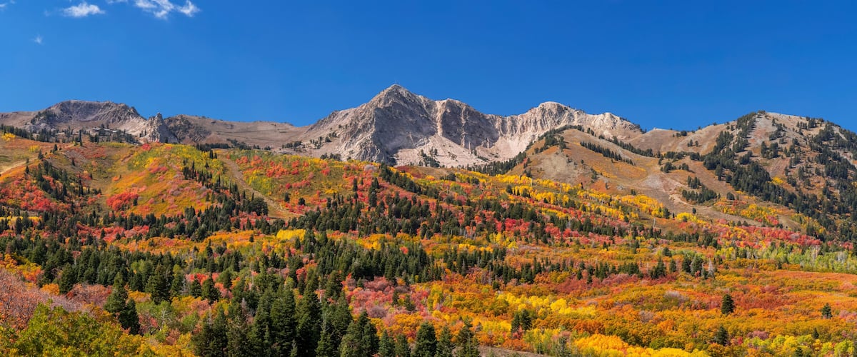 A mountain range with autumn foliage and clear blue skies.