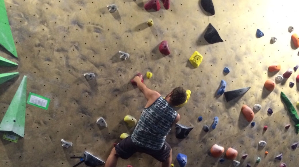 Fun place to climb and lots of wall