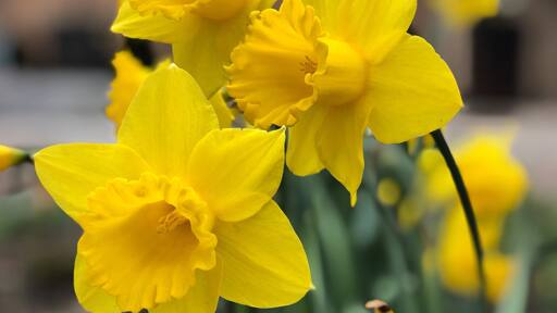 #utahexperience #utahcaptures #utahphotographer #utah #utahgram #utahisrad #utahstate #weUtah #weRutah #wowutah #igutah #iloveutah #instautah #explore #xputah #visitutah #visitsaltlake #ItsAmazingOutThere #weatherchannel #pictureoftheday #picturelinepictureoftheday #kutv2news #ogdenutah #ogdenisrad #thisisogden