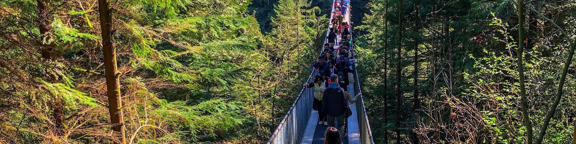 #veryvancouver #capilanosuspensionbridge #nature #vancity #vancouver