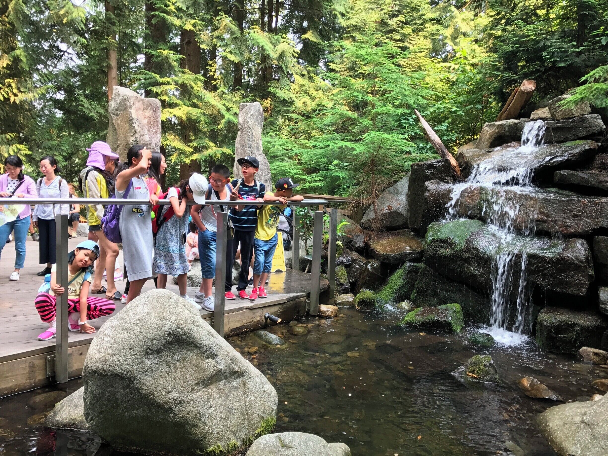 All good writing is swimming under water and holding your breath. 

- F. Scott Fitzgerald

I think everything is like that.  I get the distinct feeling that these students want to do that with everything.  Jump in and hold their breath.