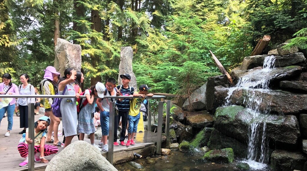 All good writing is swimming under water and holding your breath.
- F. Scott Fitzgerald
I think everything is like that. I get the distinct feeling that these students want to do that with everything. Jump in and hold their breath.