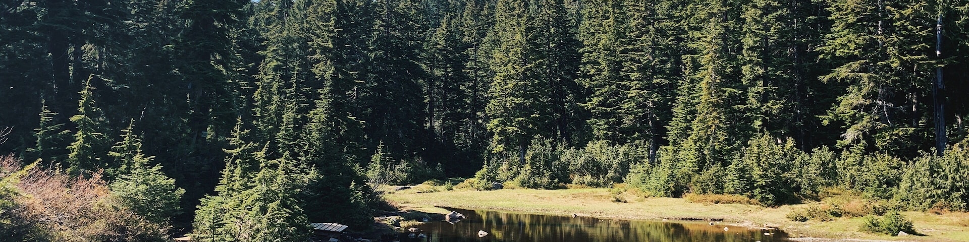 This view can be found along the Dog mountain trail hike in Seymour BC. Make sure you have a good shoes and are ready to get muddy! The view at the end is spectacular. This trail is easy but you will be slipping and sliding on rocks and plenty of tree roots. Be prepared and have FUN! #LifeAtExpedia