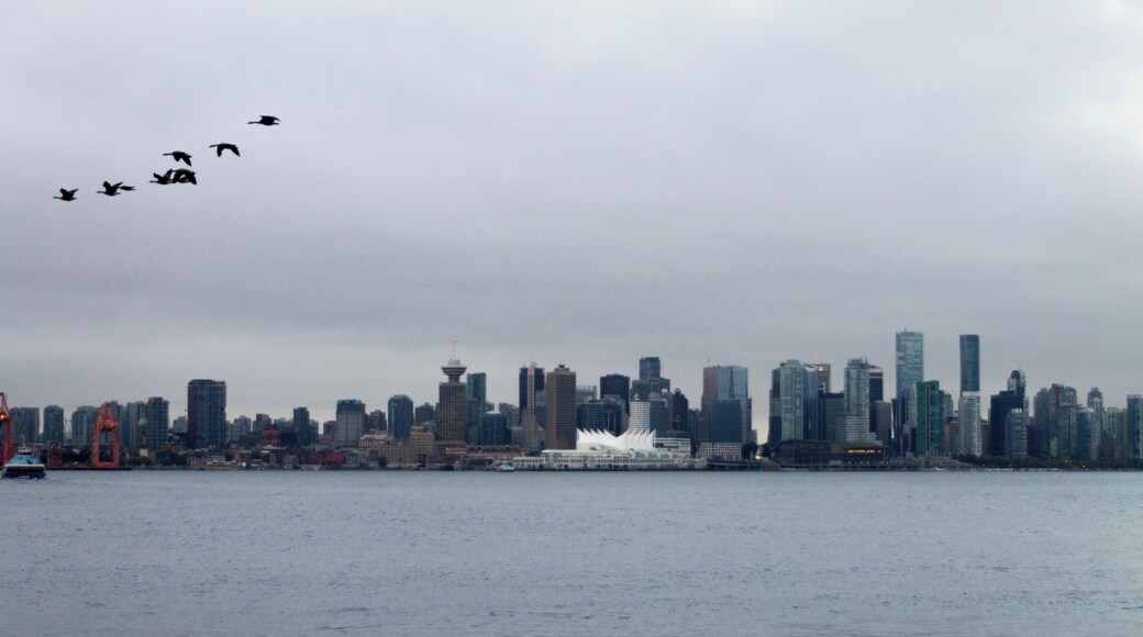 sanding on the dock looking over to vancouver