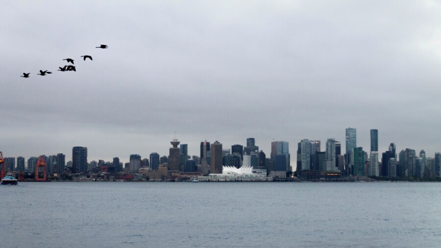 sanding on the dock looking over to vancouver