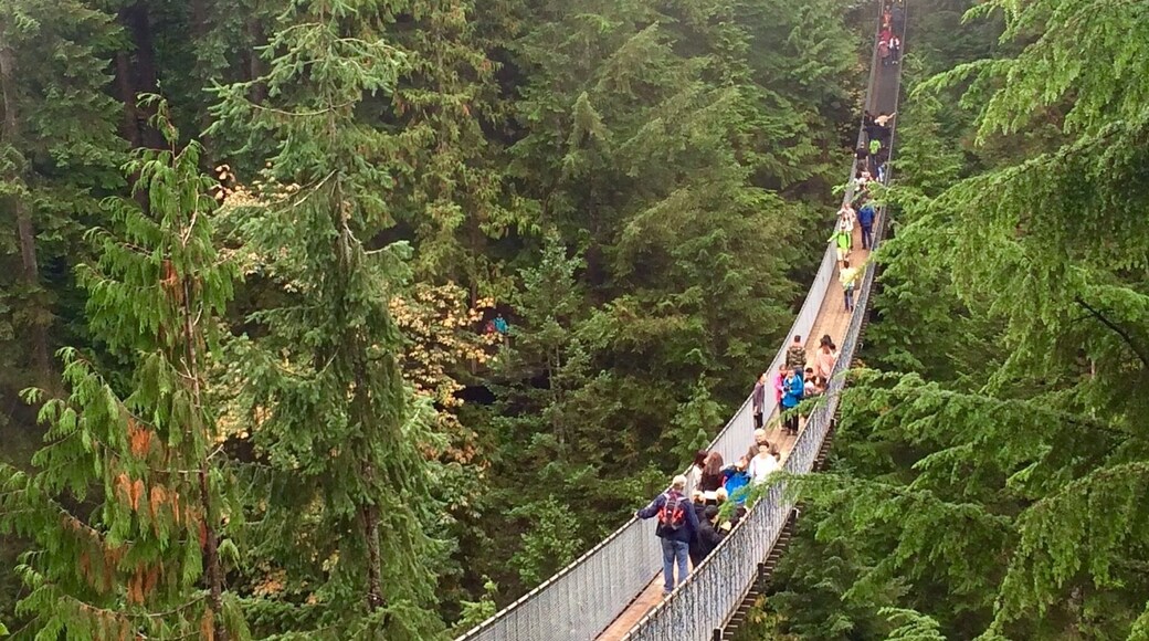 Made it. One of my dream destinations