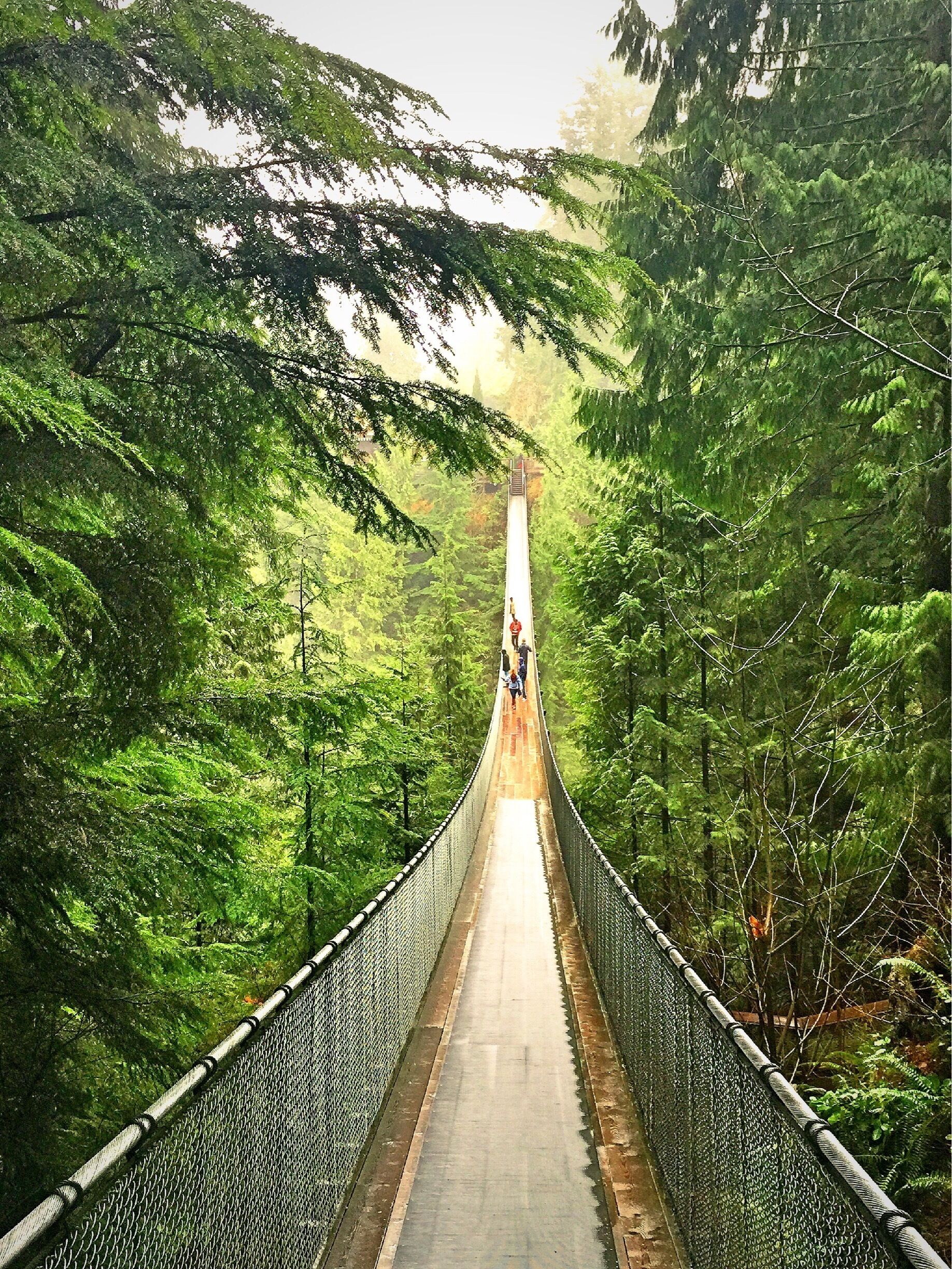 Deep breaths before crossing this bridge. Yes, its hanging, its suspended and it moves😃...