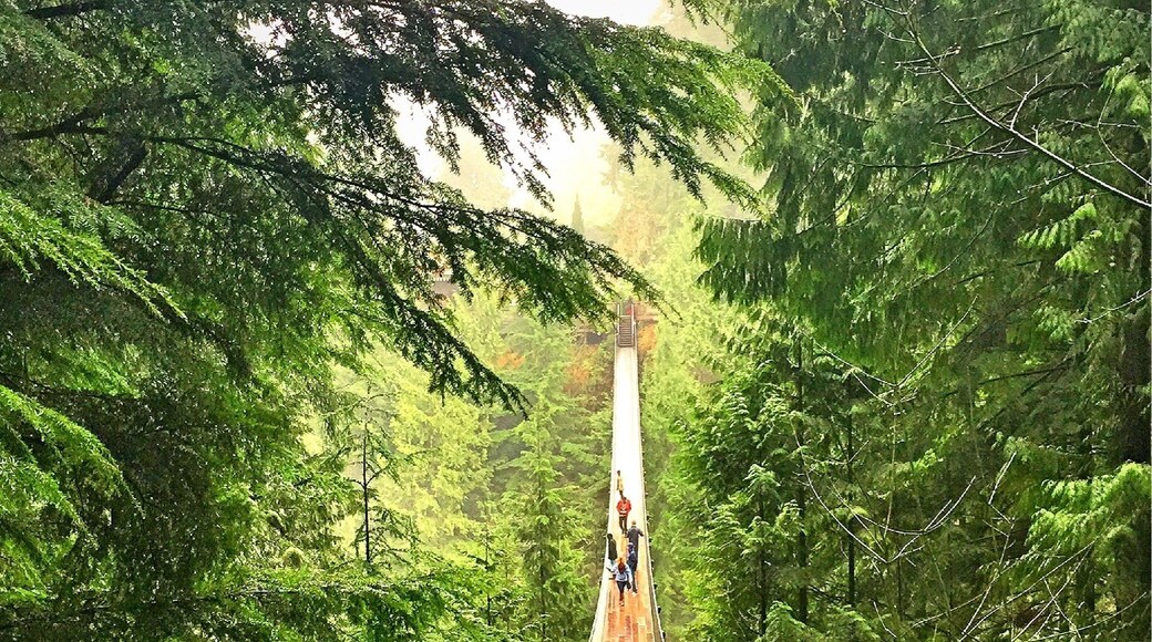 Deep breaths before crossing this bridge. Yes, its hanging, its suspended and it moves😃...