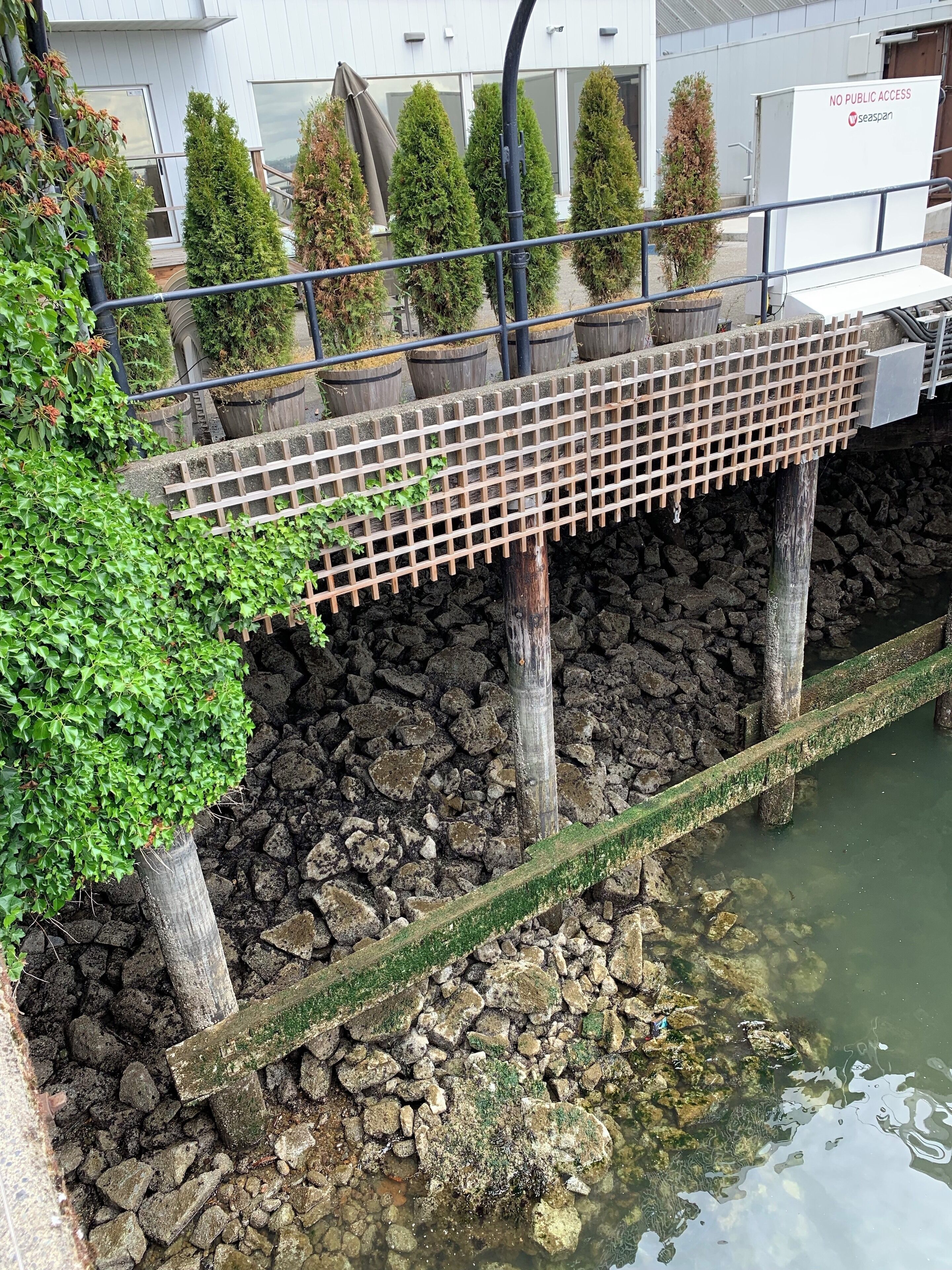 Beautiful sight from the pier.