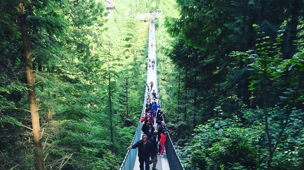 Capilano suspension bridge