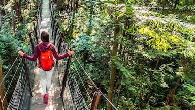 Uma pessoa caminhando sobre uma ponte suspensa, rodeada por uma floresta densa.