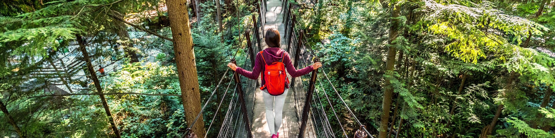 Una persona caminando sobre un puente colgante rodeado de un bosque frondoso.