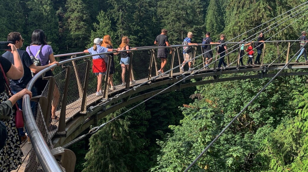Cliff walk at Capilano Suspension Bridge Park, in North Vancouver.