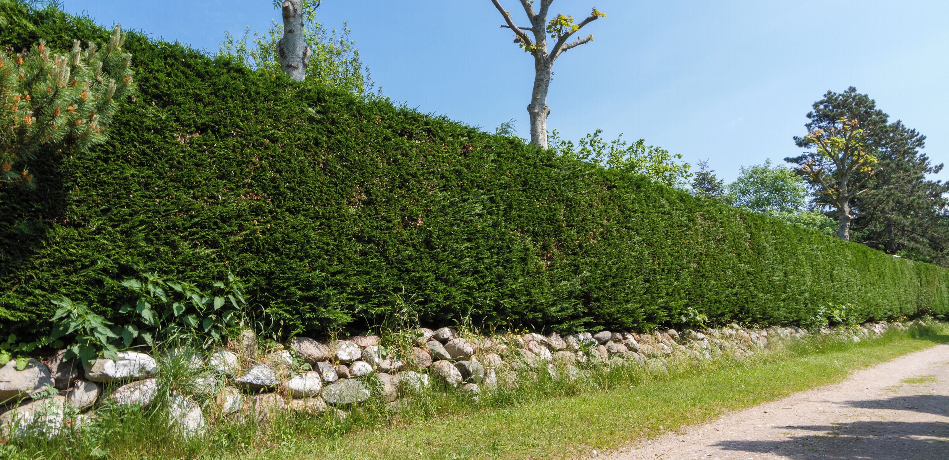 Designation: Churchyard with stone wall Location: Kirchweg Place: Wyk-Boldixum, Collective municipality Föhr-Amrum, District Nordfriesland, Schleswig-Holstein, Federal Republic of Germany Construction time: 13th century Description: The Cemetery of the Evangelical-Lutheran parish St. Nicolai surrounds the St. Nicolai church. Object identification: 2820