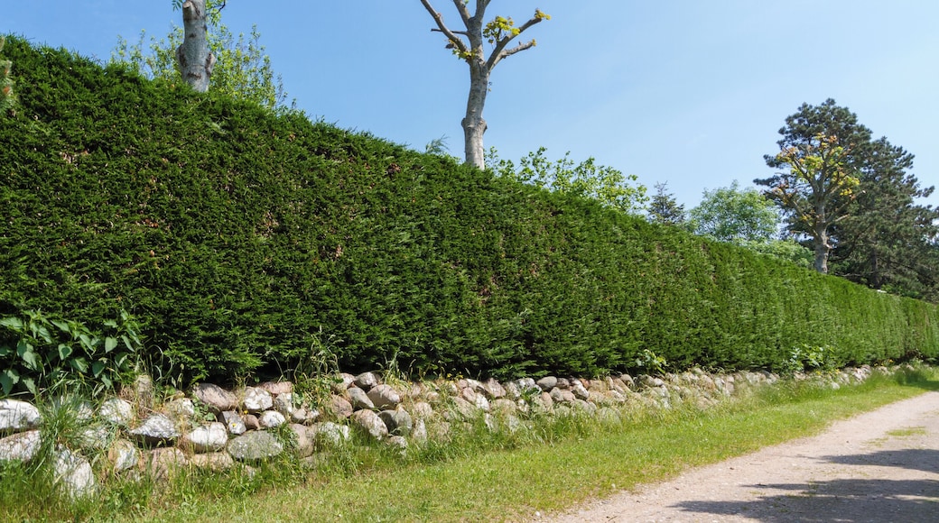 Designation: Churchyard with stone wall Location: Kirchweg Place: Wyk-Boldixum, Collective municipality Föhr-Amrum, District Nordfriesland, Schleswig-Holstein, Federal Republic of Germany Construction time: 13th century Description: The Cemetery of the Evangelical-Lutheran parish St. Nicolai surrounds the St. Nicolai church. Object identification: 2820