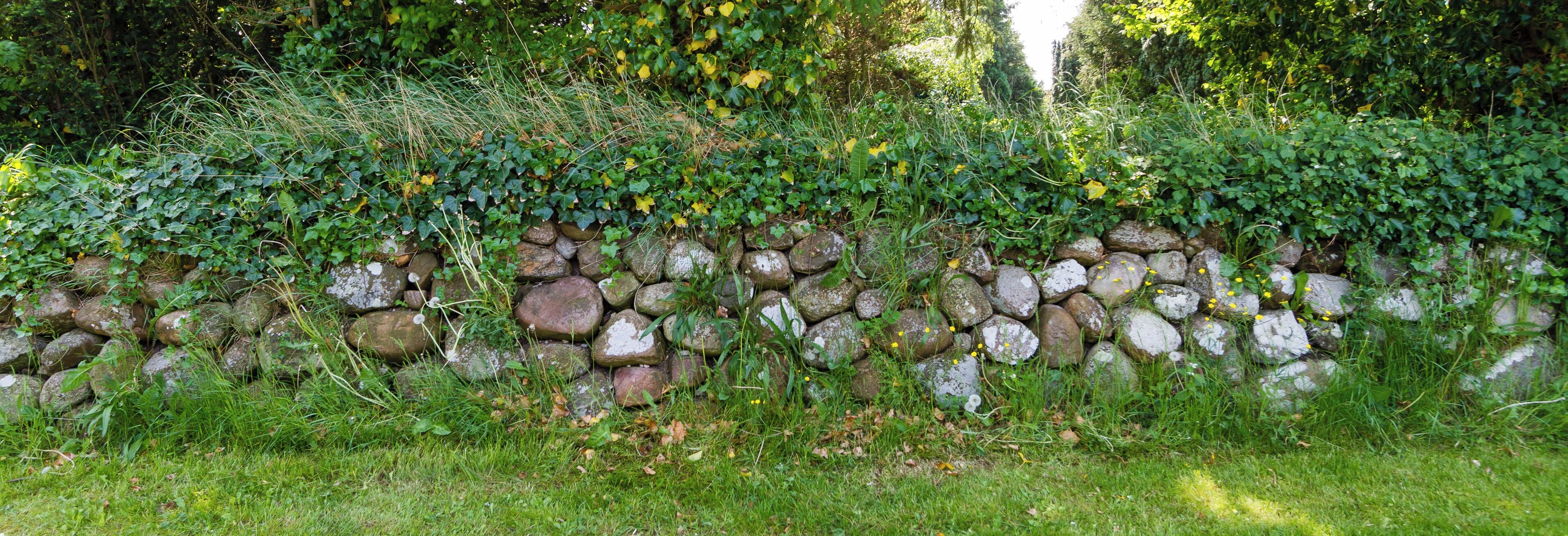 Designation: Churchyard with stone wall Location: Kirchweg Place: Wyk-Boldixum, Collective municipality Föhr-Amrum, District Nordfriesland, Schleswig-Holstein, Federal Republic of Germany Construction time: 13th century Description: The Cemetery of the Evangelical-Lutheran parish St. Nicolai surrounds the St. Nicolai church. Object identification: 2820