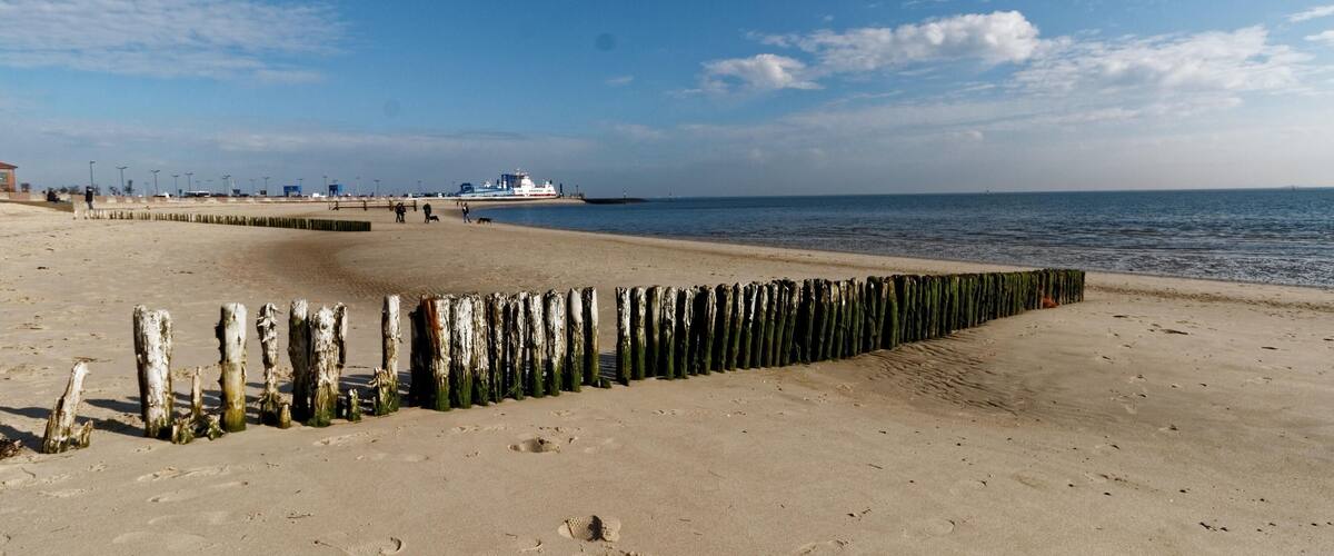 A sandy beach with a wooden breakwater, a calm sea, and a distant ferry.