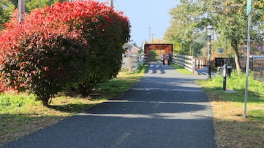 Pedestrian passageway in Northampton, Massachusetts