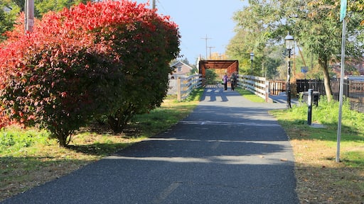 Pedestrian passageway in Northampton, Massachusetts