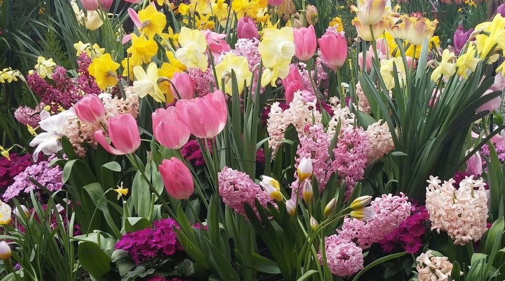 Great way to start off spring!