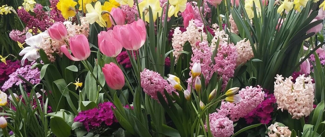 Great way to start off spring!