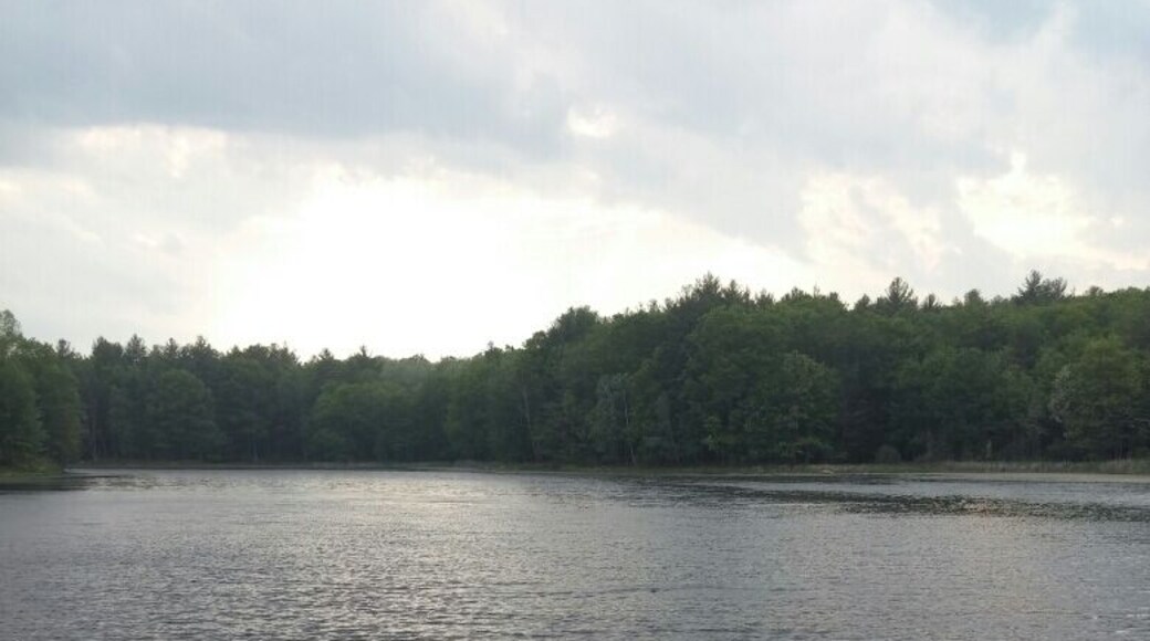 Very difficult trail to run, but quite the adventure for a walk. It offers many different trails, scenic routes and fishing areas.