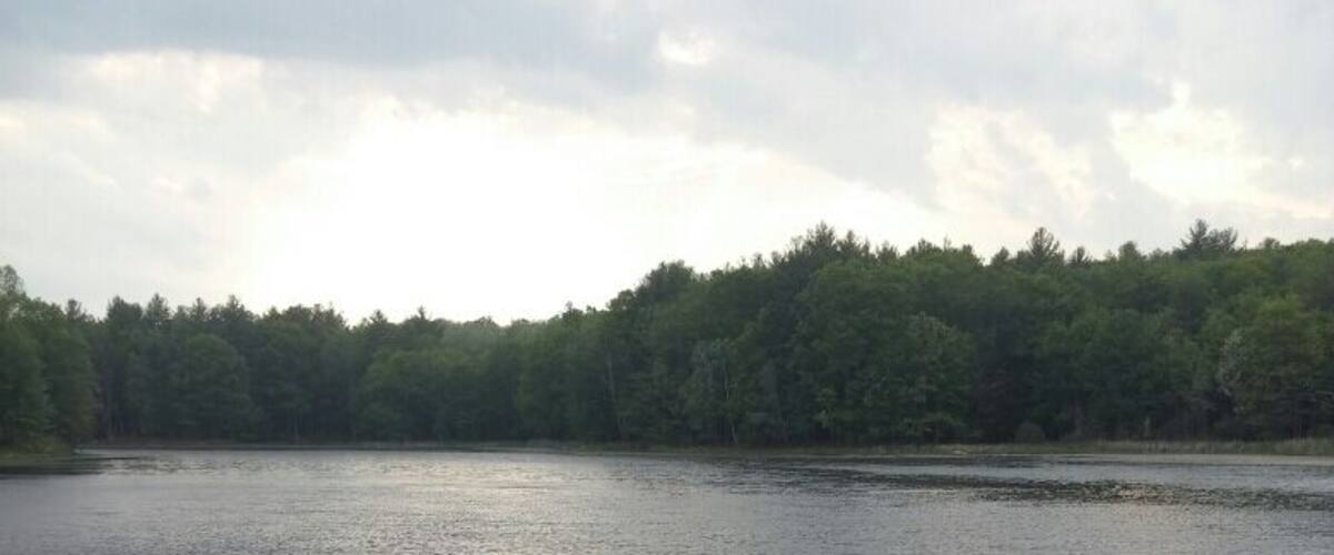 A calm lake with a forested shoreline and a grassy foreground.