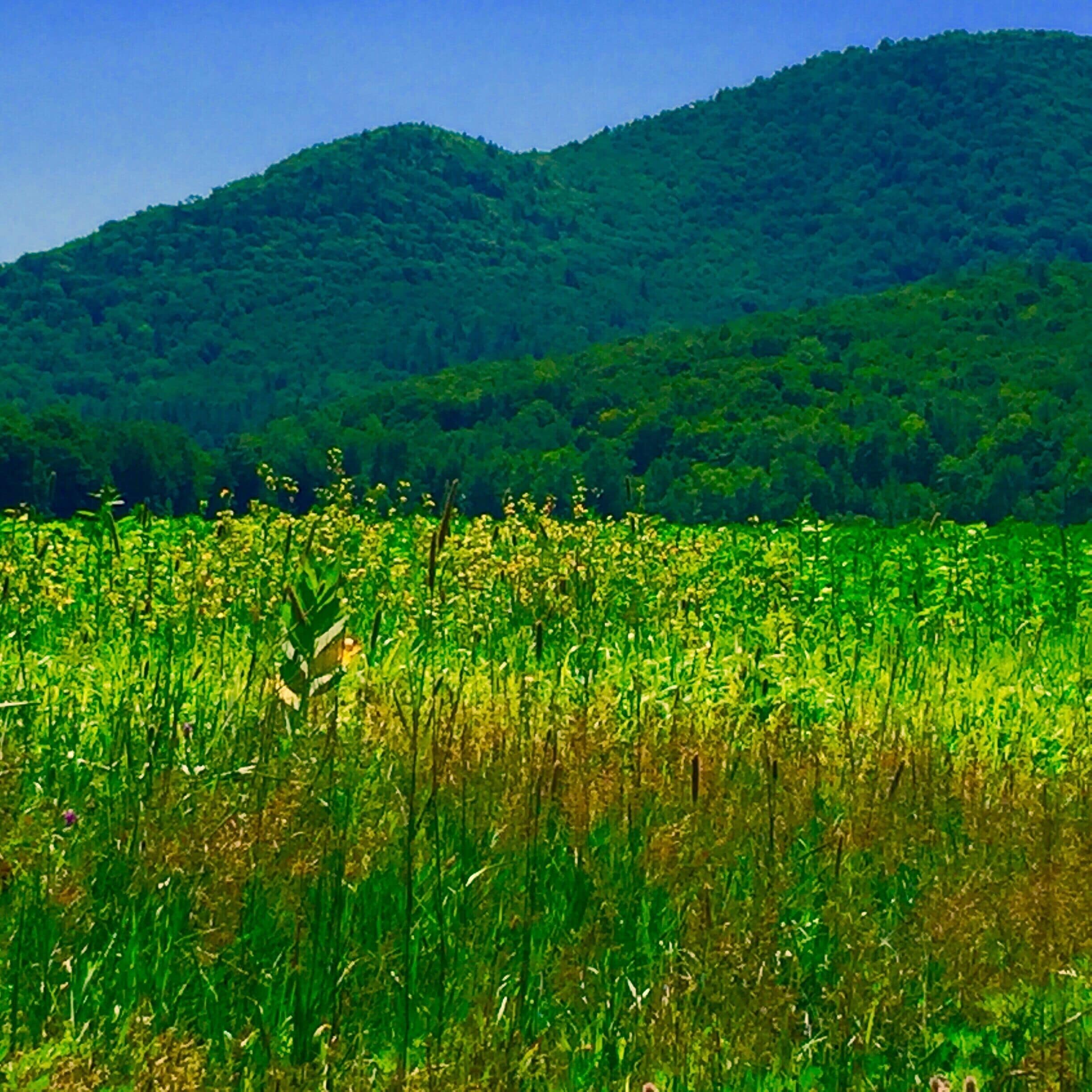 Driving through Massachusetts 