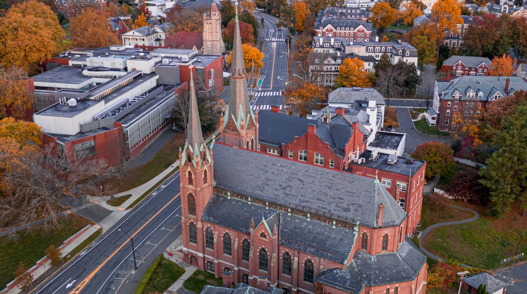 Beautiful view of the autumn trees in Northampton, Massachusetts, New England, USA