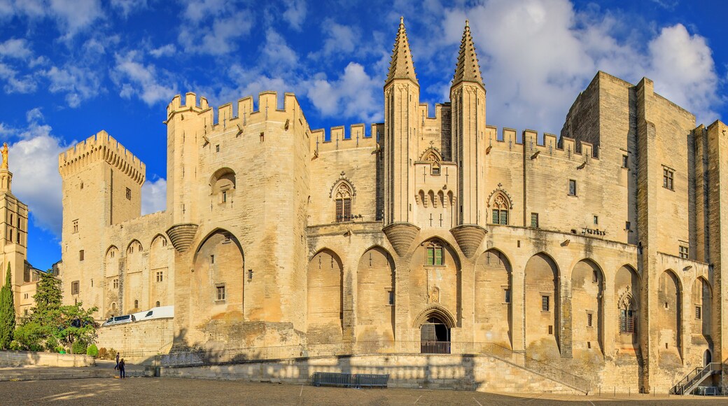 Avignon, Palace of the Popes, Vaucluse, France