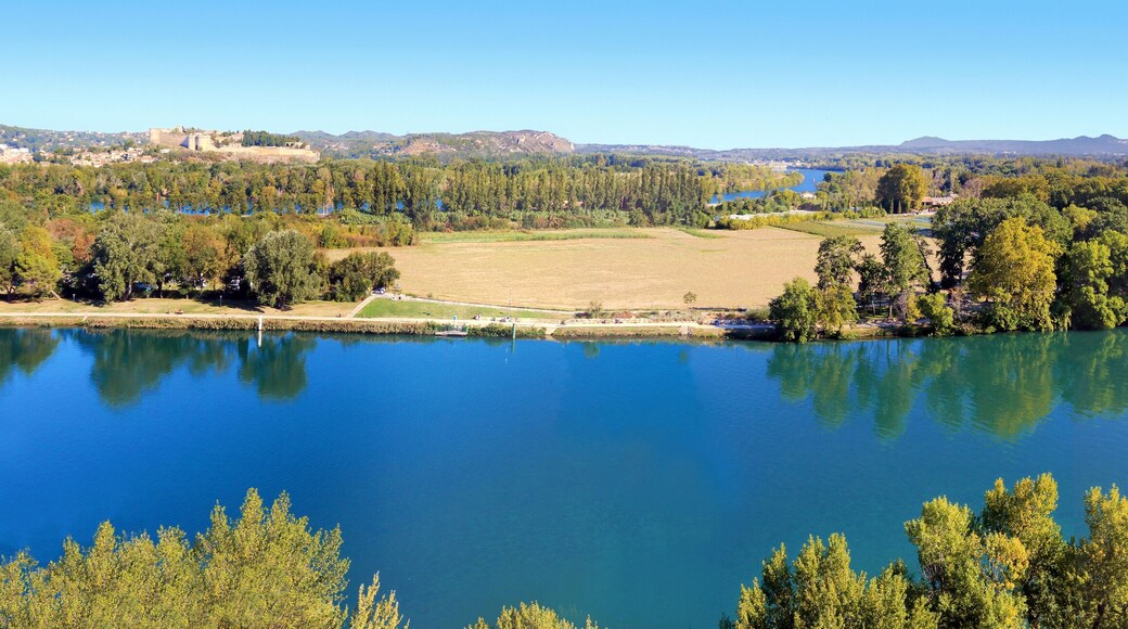 Le Rhône Provençal