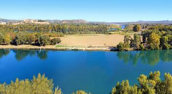 บาร์เธลาส