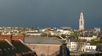 Panoramic view of Cork city with Shandon and Bells Tower St. Anne’s church