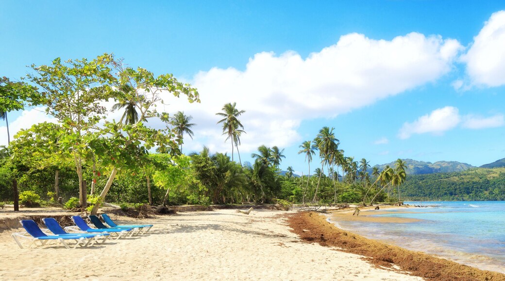 วิลล่า ซัลมา