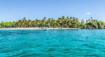 Cayo Levantado, Samana Bay, Dominican Republic. Panoramic view of Caribbean Islet with coconut palm trees and white sand beach.