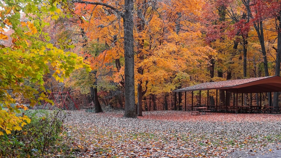 A park with a gazebo surrounded by autumn-colored trees.