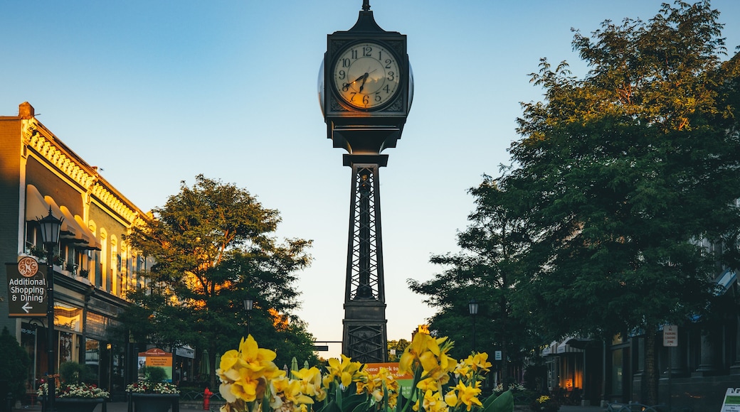 Clock Downtown Northville, MI
