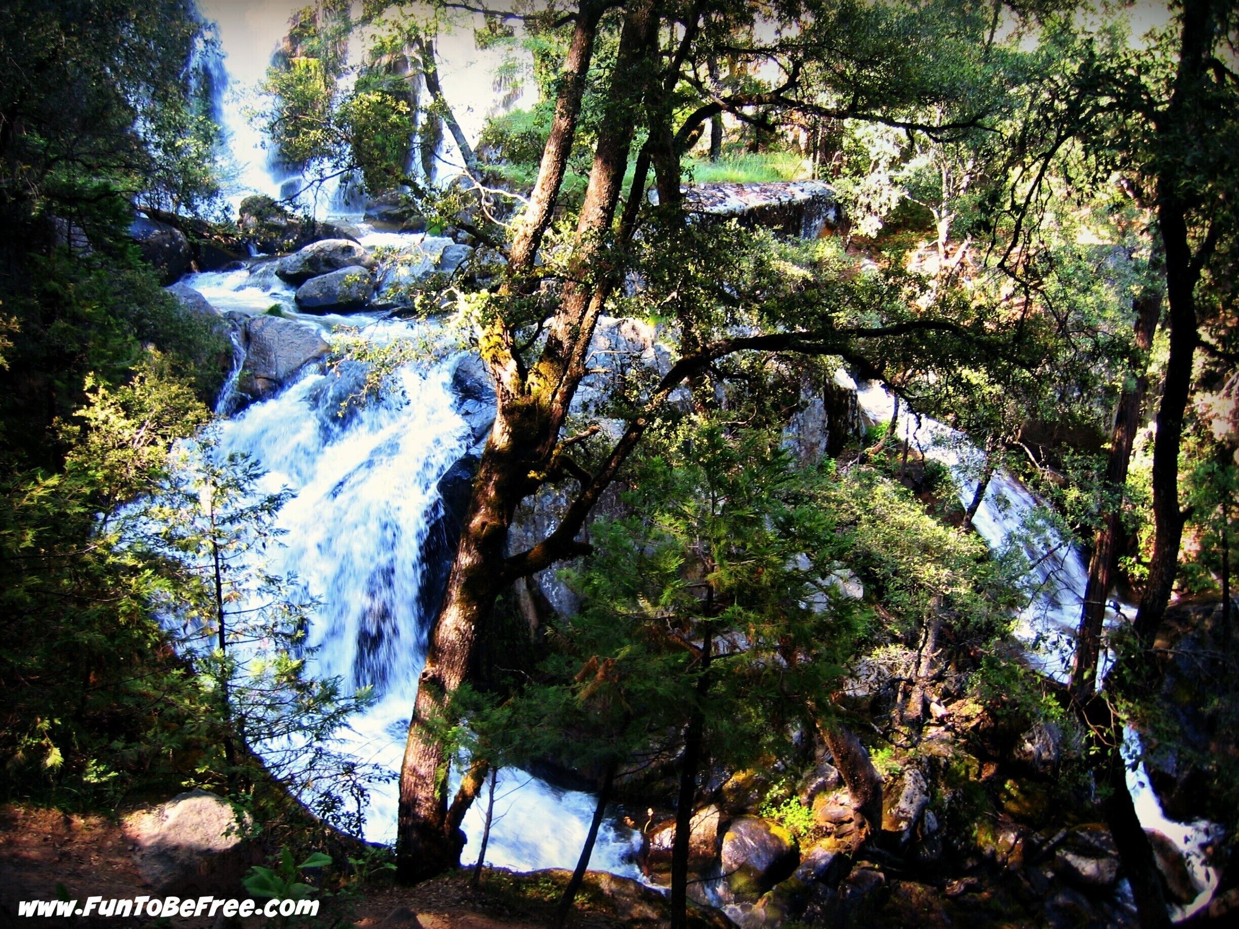 A waterfall surrounded by dense forest and rocky terrain.
