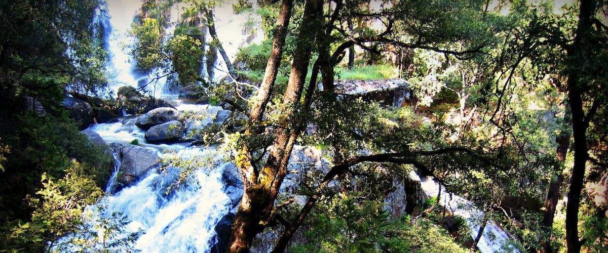 A waterfall surrounded by dense forest and rocky terrain.