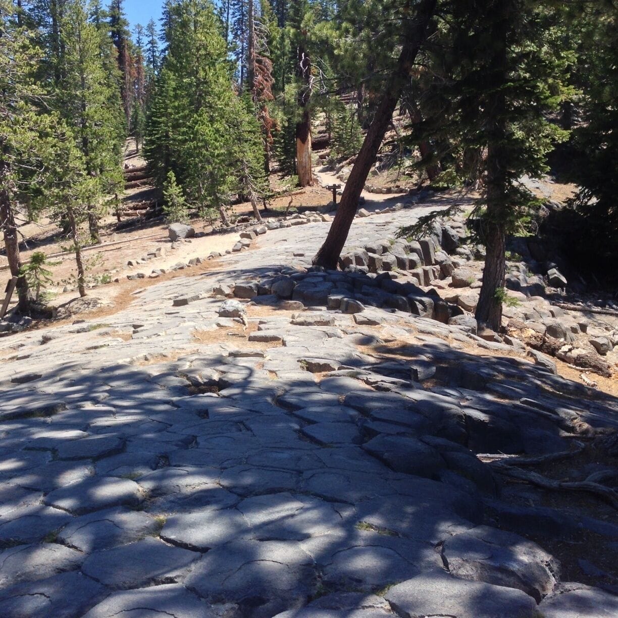 This is the top of Devil's Postpile.  Devil's Patio!!!