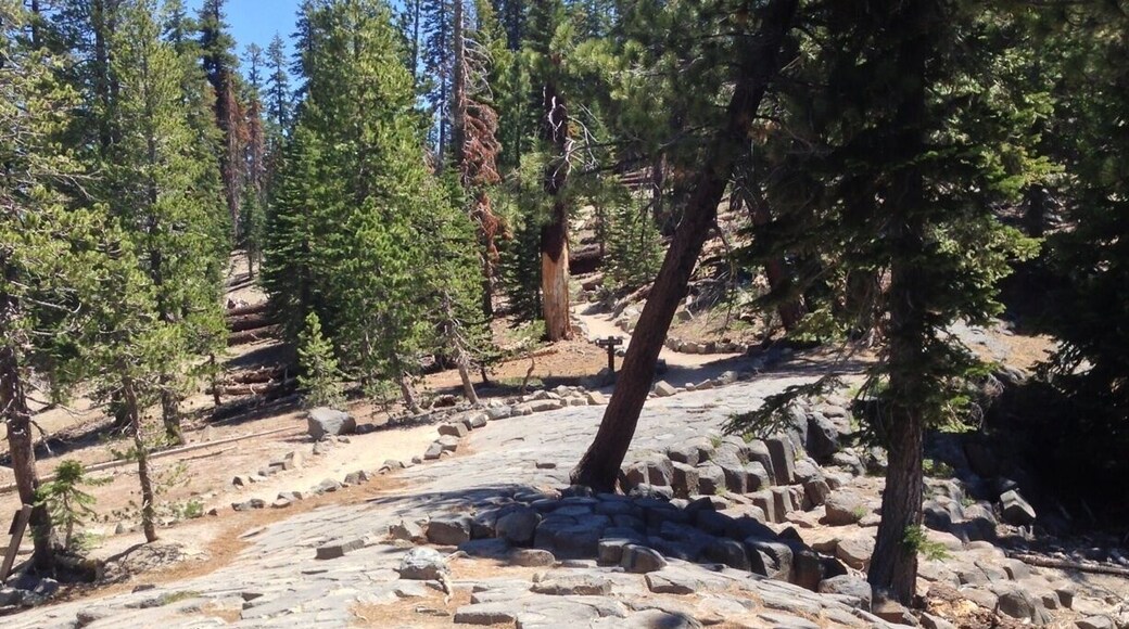 This is the top of Devil's Postpile. Devil's Patio!!!