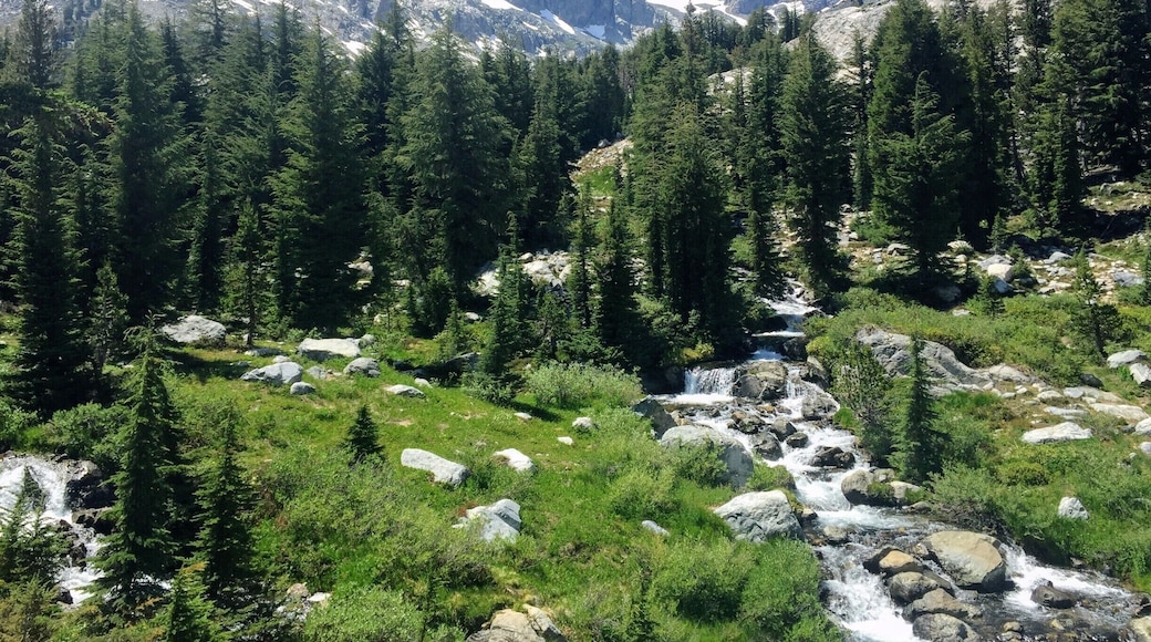 Unbelievable campsite at Ediza Lake in the Ansel Adams Wilderness. I felt like we were straight out of a backapacking magazine!
#lifeatexpedia