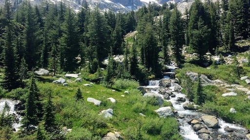 Unbelievable campsite at Ediza Lake in the Ansel Adams Wilderness. I felt like we were straight out of a backapacking magazine!
#lifeatexpedia