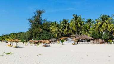 West Africa Senegal Cap Skirring - Paradise beach - beach chairs, umbrellas