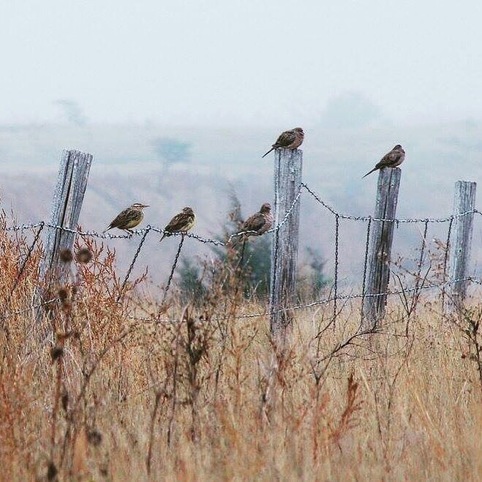 Beautiful state park.