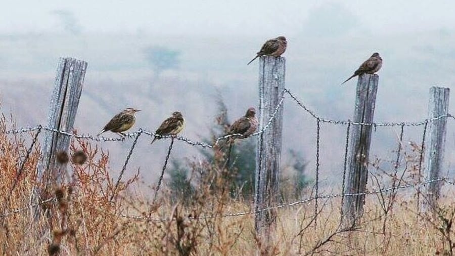 Beautiful state park.