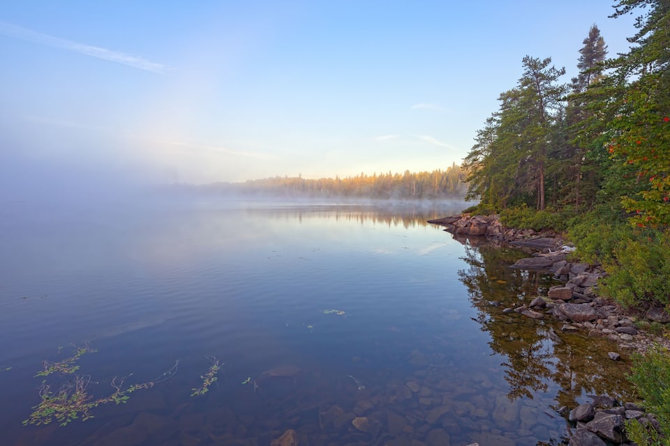 A calm lake with clear water, surrounded by dense forest and rocky shoreline.
